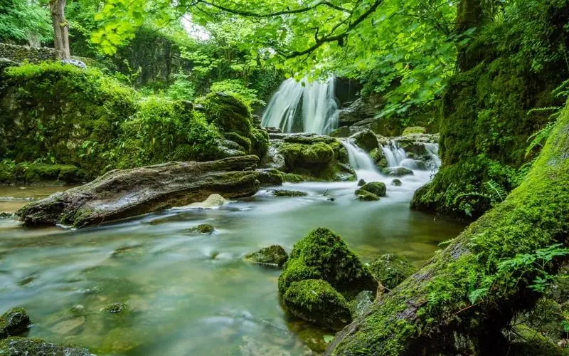 高性能高精度绿色